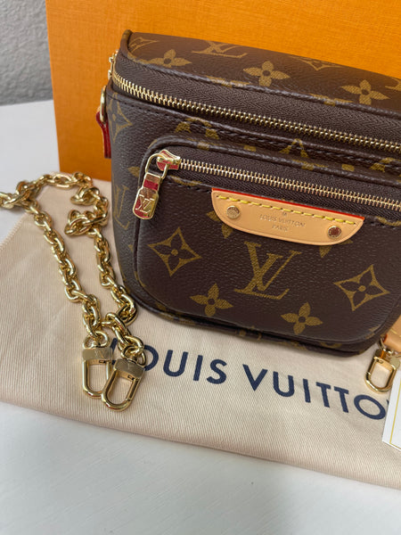 (Louis Vuitton Mini Bumbag