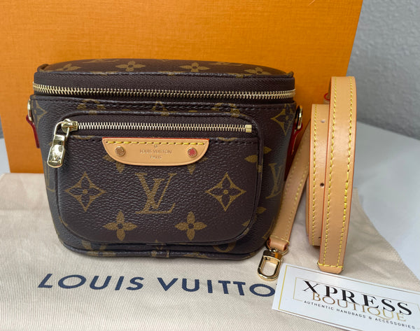 (Louis Vuitton Mini Bumbag