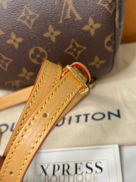 (Louis Vuitton Mini Bumbag