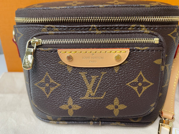 (Louis Vuitton Mini Bumbag
