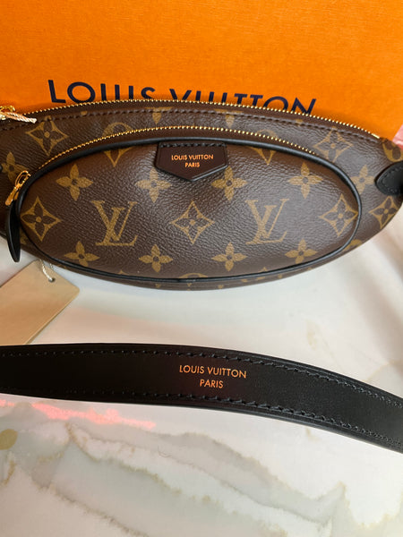 Louis Vuitton Keepit monograma bumbag