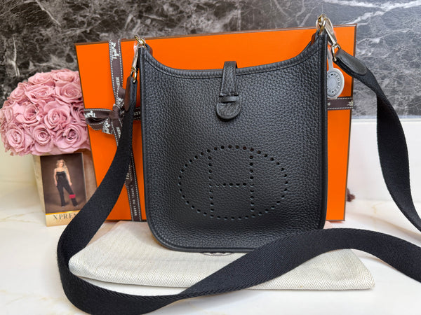 Hermes Mini Evelyne