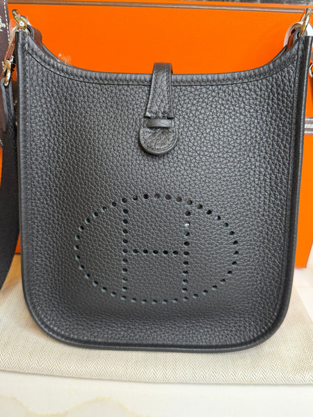 Hermes Mini Evelyne