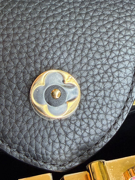 Louis Vuitton Murakami Capucines