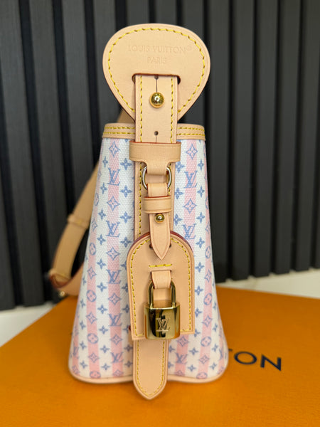 Louis Vuitton All In BB