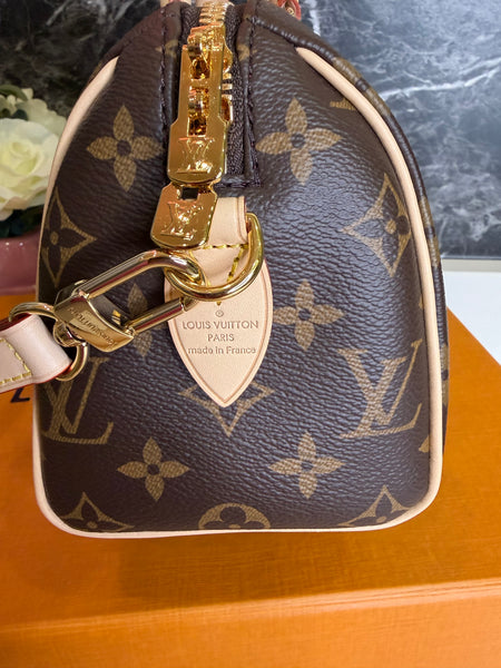 Louis Vuitton Speedy 20 Monograma