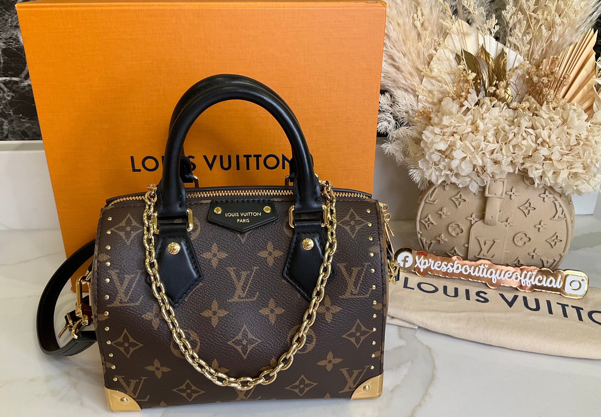 Louis Vuitton Speedy 20 Trunk