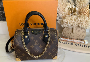 Louis Vuitton Speedy 20 Trunk