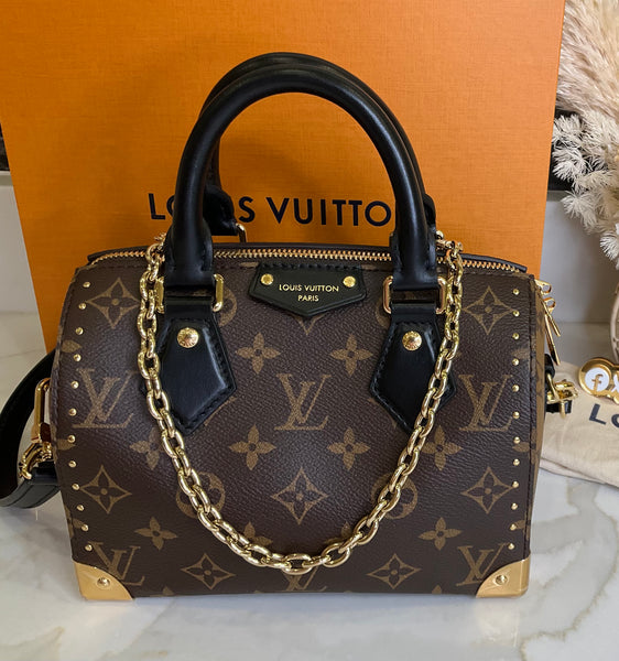 Louis Vuitton Speedy 20 Trunk