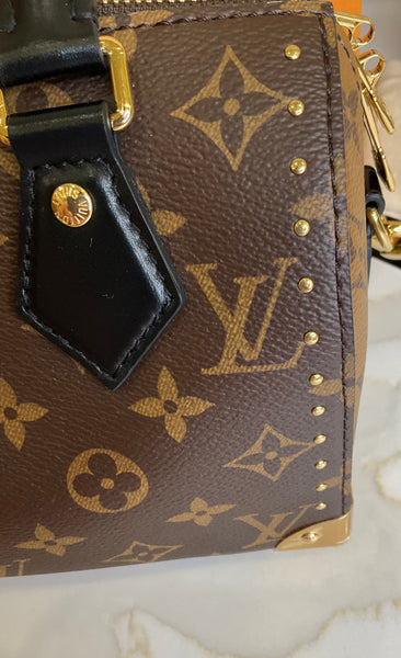 Louis Vuitton Speedy 20 Trunk