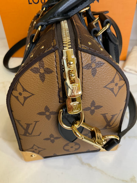 Louis Vuitton Speedy 20 Trunk