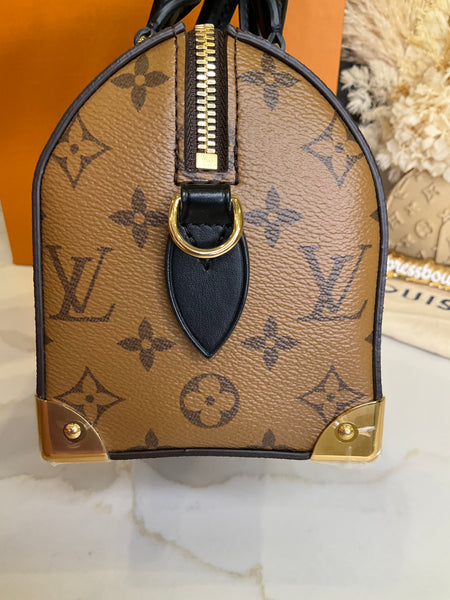 Louis Vuitton Speedy 20 Trunk