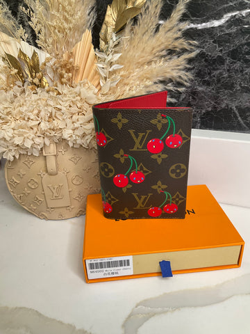 Fashion passport holder