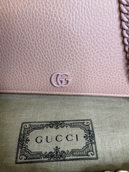 Gucci crossbody WOC
