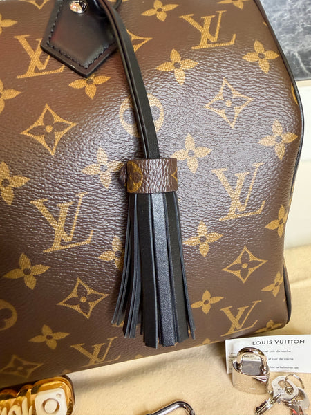 Louis Vuitton Speedy Soft 30 Dark