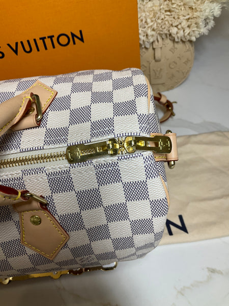 Louis Vuitton Speedy B30