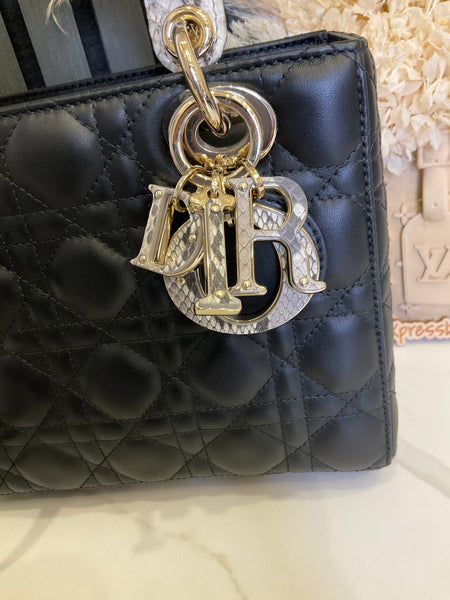 Lady Dior Phyton