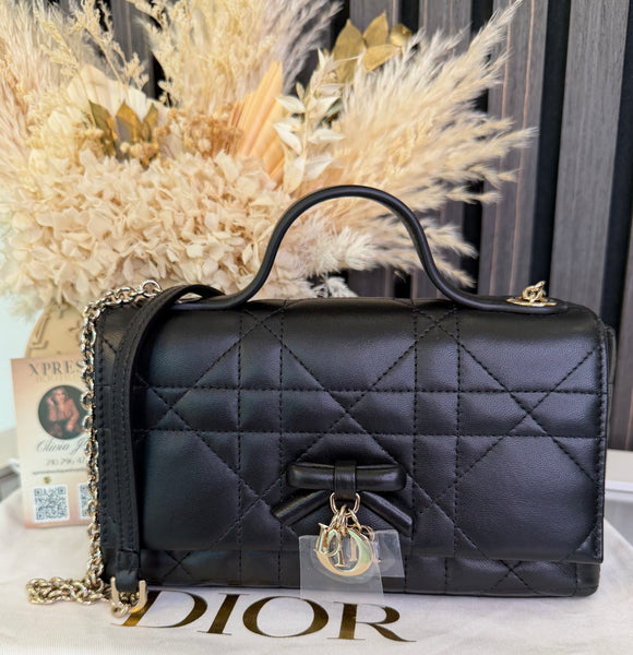 My Tender Dior Top Handle Mini Bag