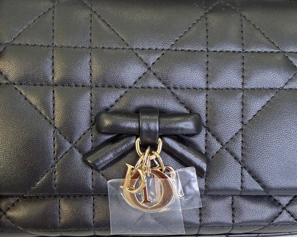 My Tender Dior Top Handle Mini Bag