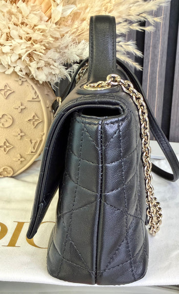 My Tender Dior Top Handle Mini Bag