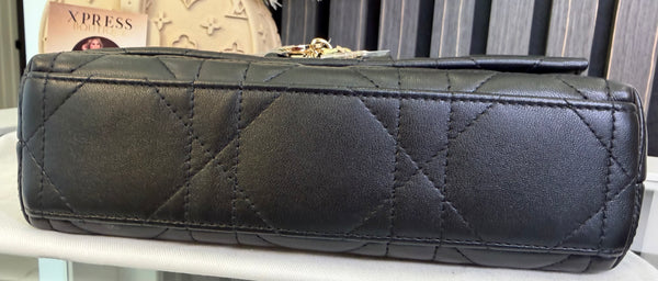 My Tender Dior Top Handle Mini Bag