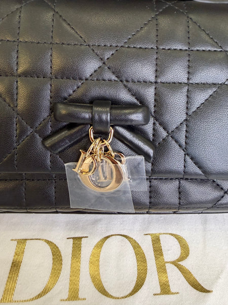 My Tender Dior Top Handle Mini Bag