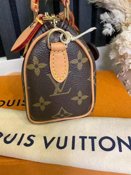 Louis Vuitton Nano Vivienne
