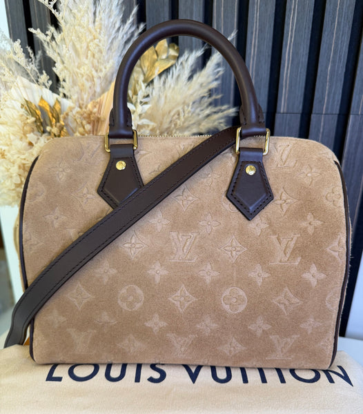 Louis Vuiton Speedy Bandoulière 25