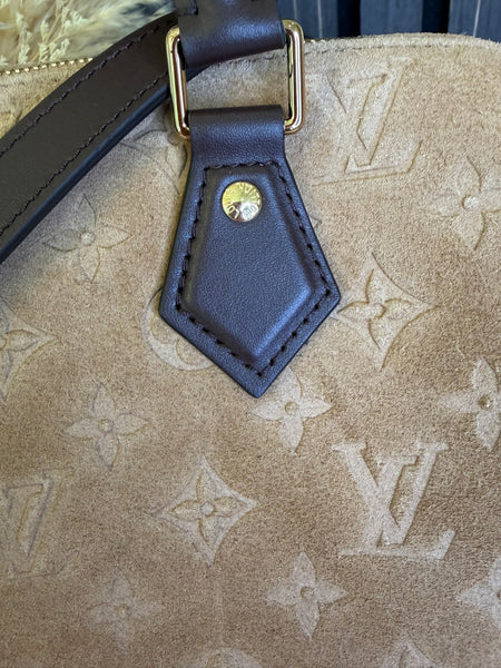 Louis Vuiton Speedy Bandoulière 25