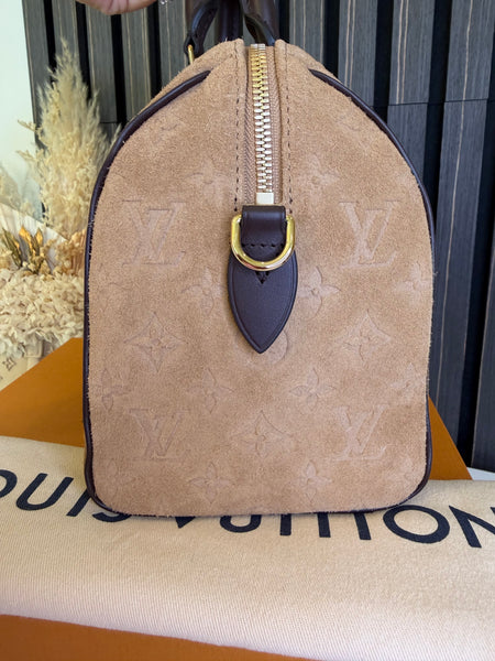 Louis Vuiton Speedy Bandoulière 25