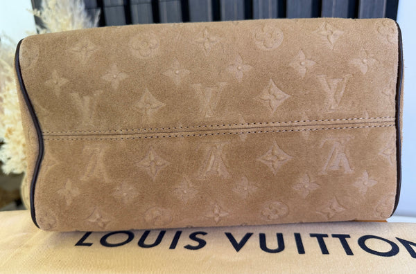Louis Vuiton Speedy Bandoulière 25