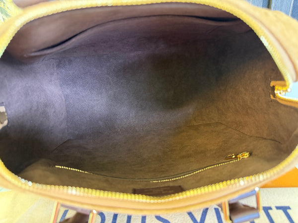 Louis Vuiton Speedy Bandoulière 25