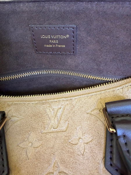 Louis Vuiton Speedy Bandoulière 25