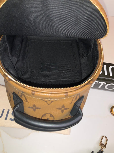 Louis Vuitton reverse Palm Spring mini backpack