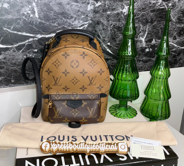 Louis Vuitton reverse Palm Spring mini backpack