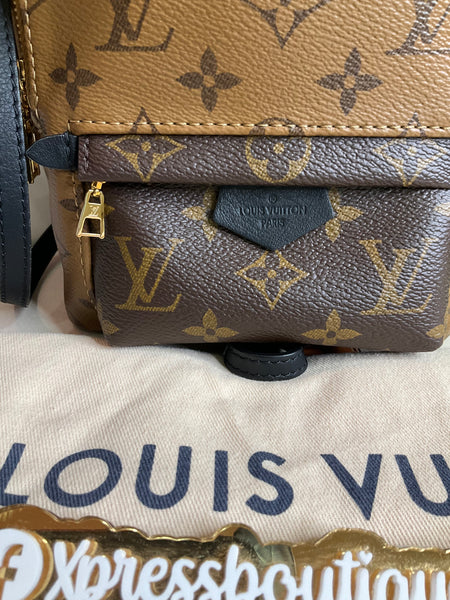 Louis Vuitton reverse Palm Spring mini backpack