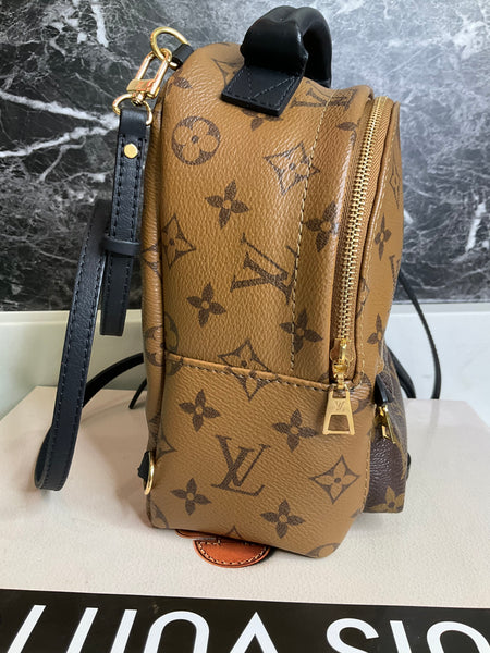 Louis Vuitton reverse Palm Spring mini backpack