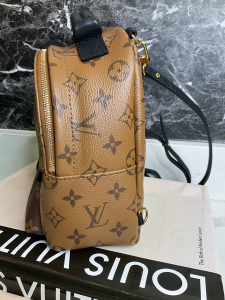 Louis Vuitton reverse Palm Spring mini backpack