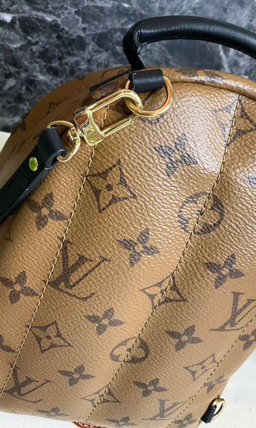 Louis Vuitton reverse Palm Spring mini backpack