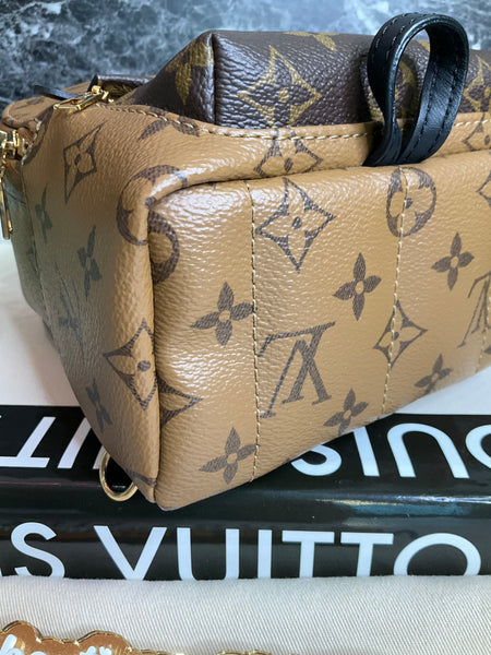 Louis Vuitton reverse Palm Spring mini backpack