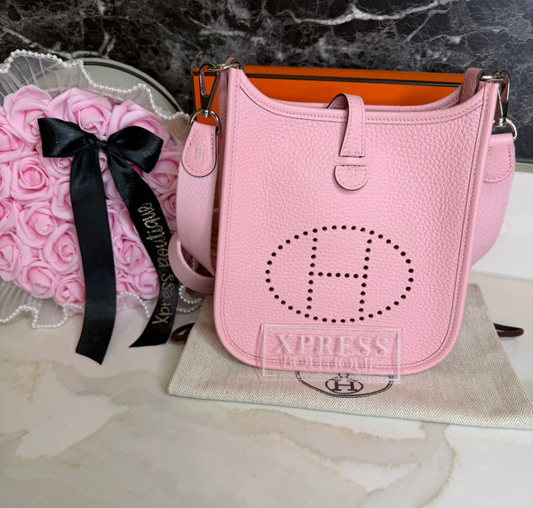 Hermes mini evelyne
