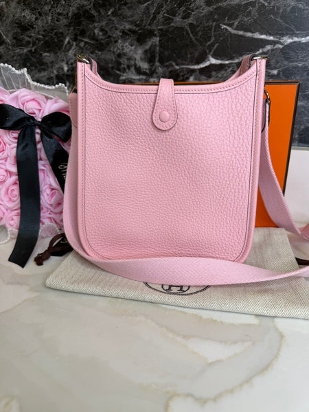 Hermes mini evelyne