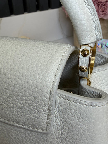 Louis Vuitton Capuccine BB