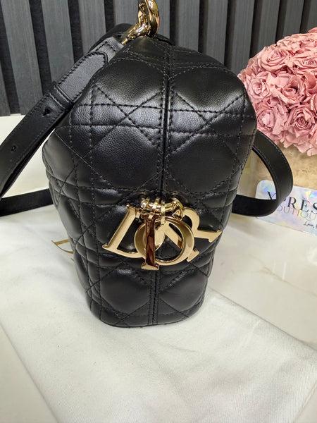 Dior Toujours small