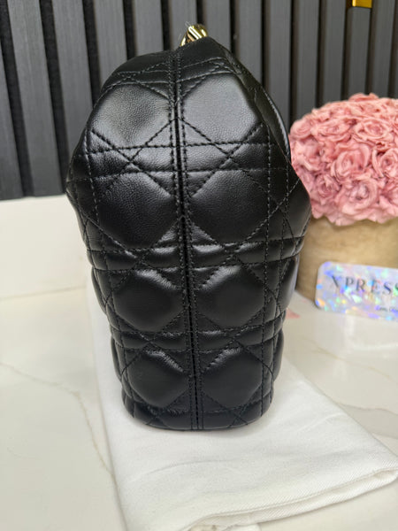 Dior Toujours small