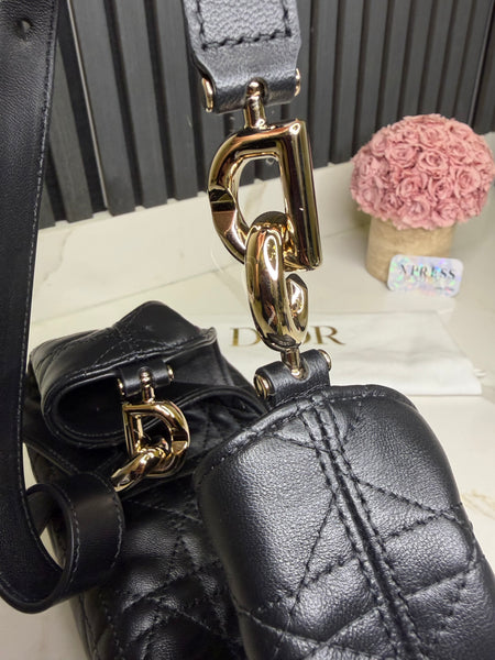Dior Toujours small