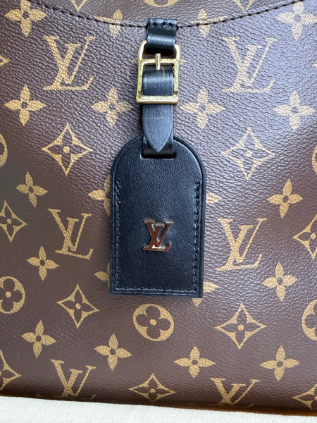 Louis Vuitton Odeon MM