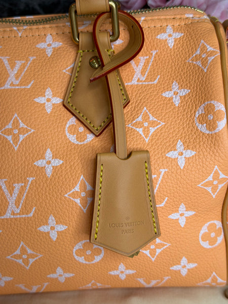 Louis Vuitton P9
