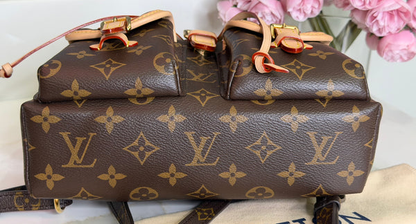 Louis Vuitton Excursion PM backpack