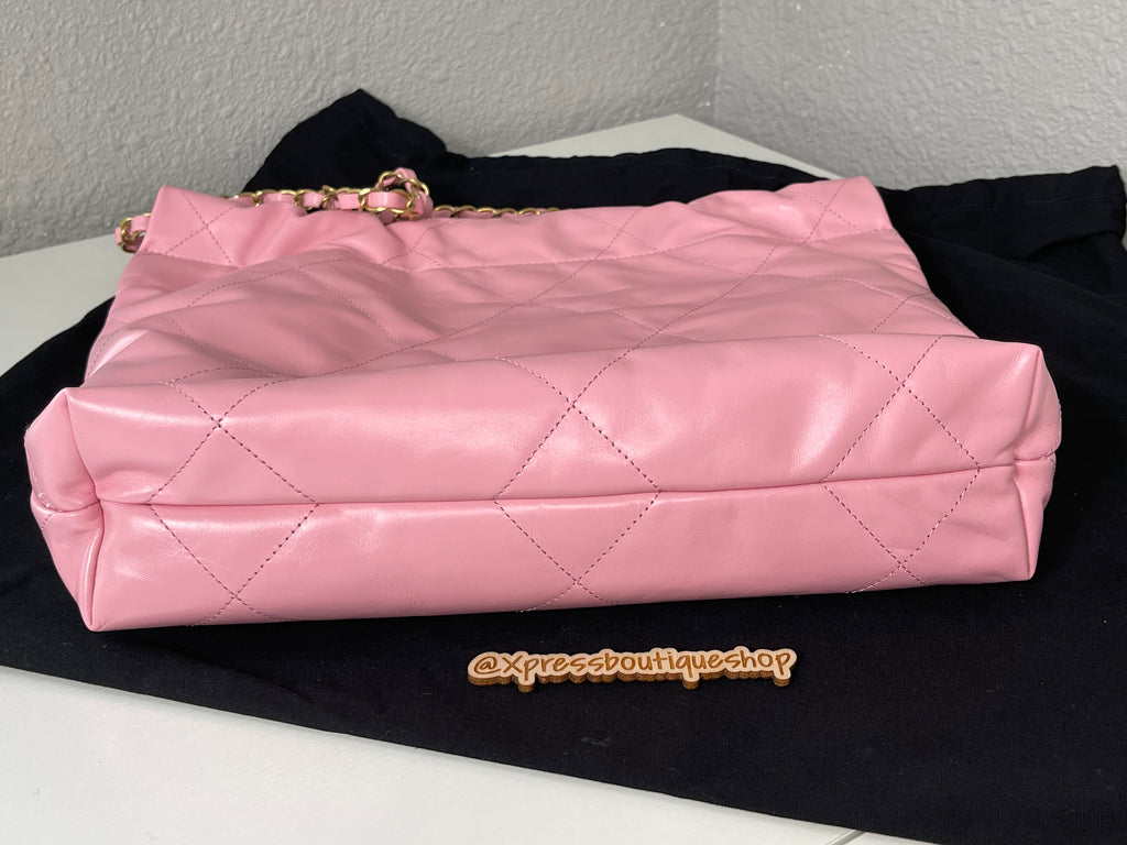 Chanel Pink Small 22 Hobo